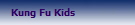 Kung Fu Kids